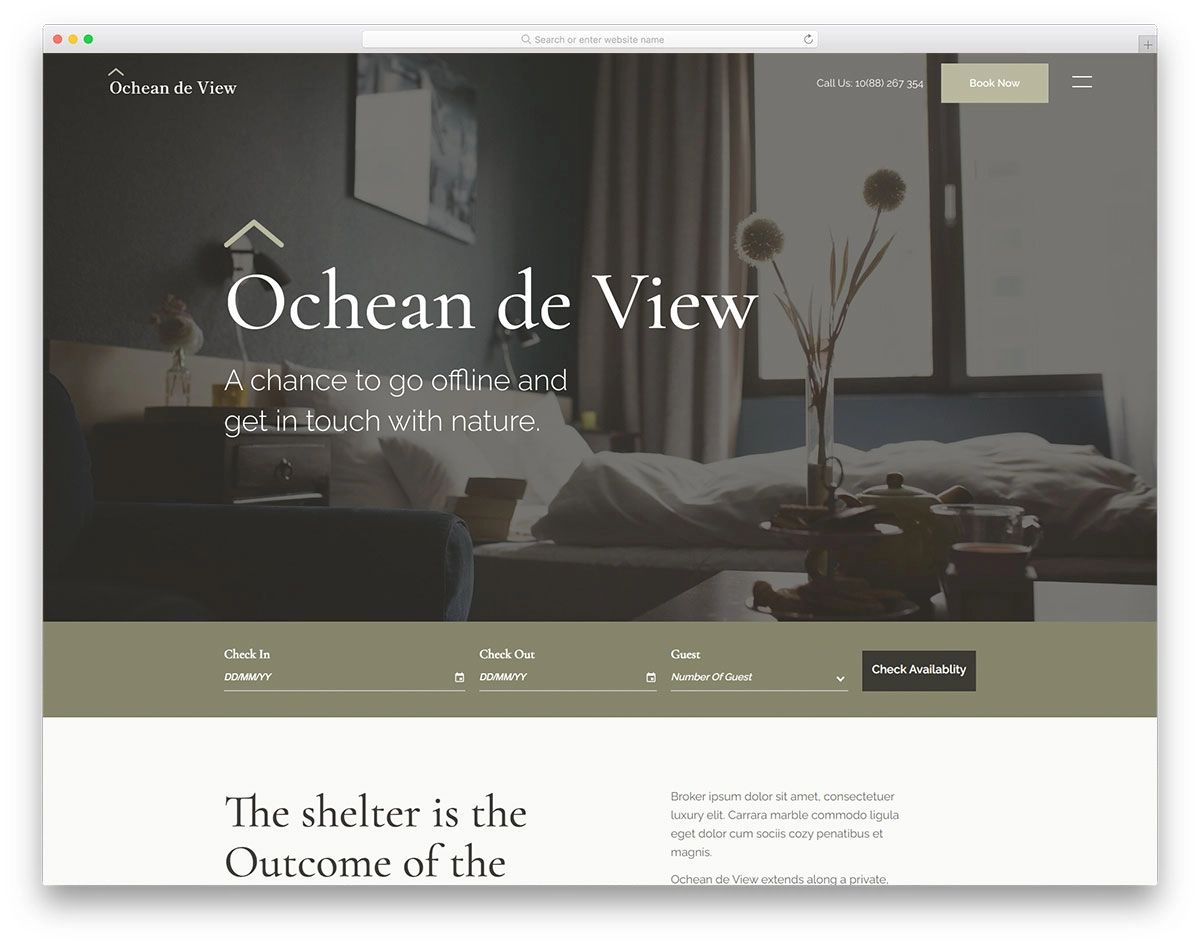 Ocheandeview