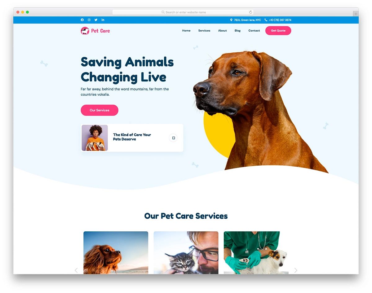 The Pet Care